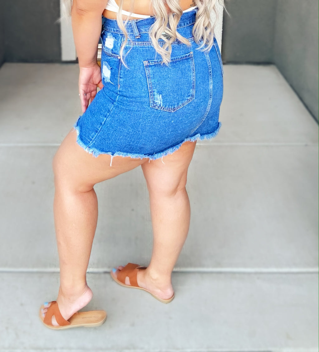 Bri Denim Skirt